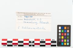 Foto von Bronzefragment (NHMW-PRAE-078079)